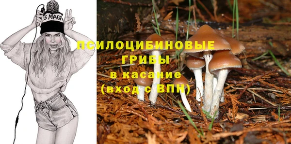 твердый Нефтегорск