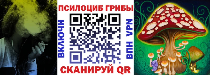 наркошоп  Шарья  kraken   Галлюциногенные грибы прущие грибы 